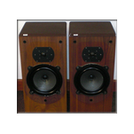 B&W DM22 Monitors