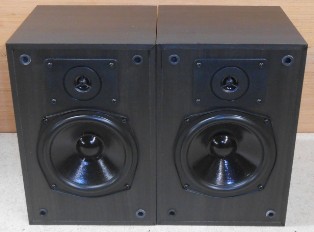 Gale Mini Monitors